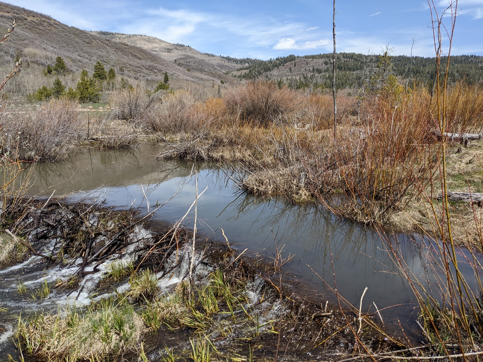 Beavercreek Campground