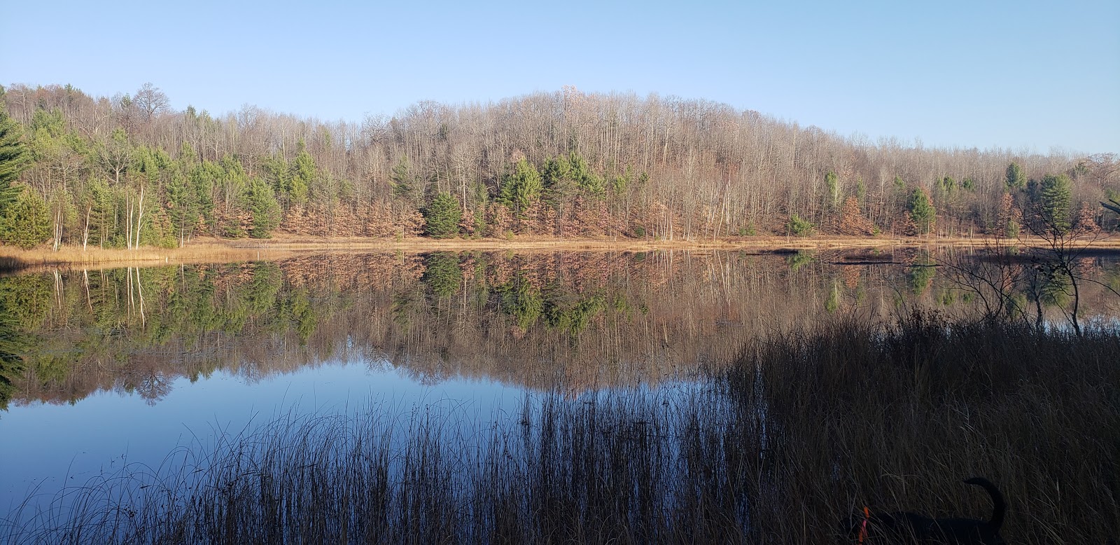 Long Lake Missaukee SF Campground