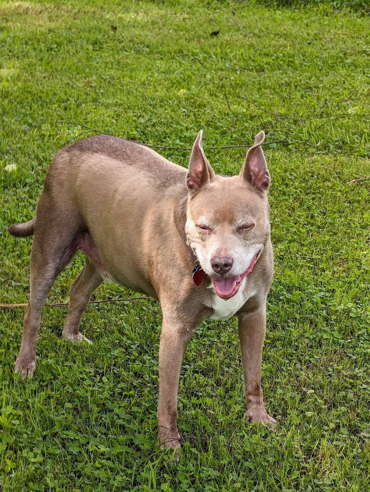 Ruby Lake Campground Mhp