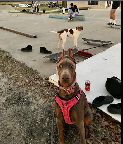 Valdosta Wake Compound