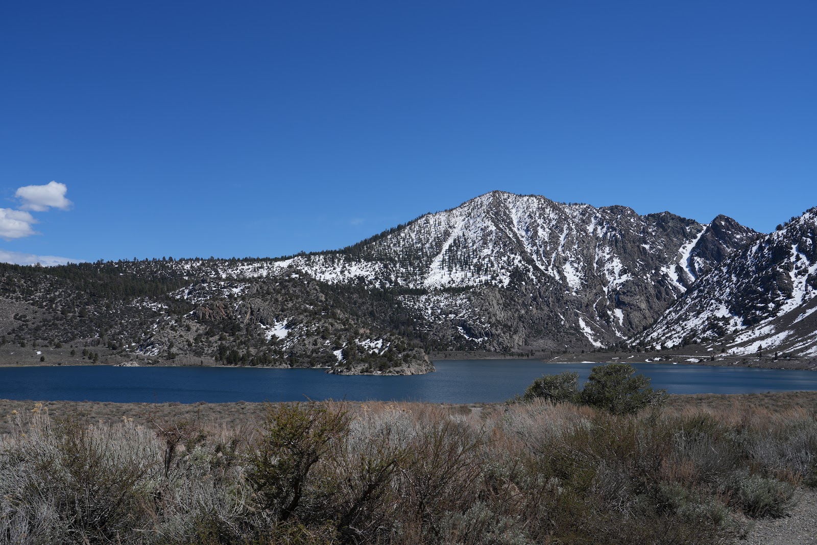 Grant Lake Marina Campground