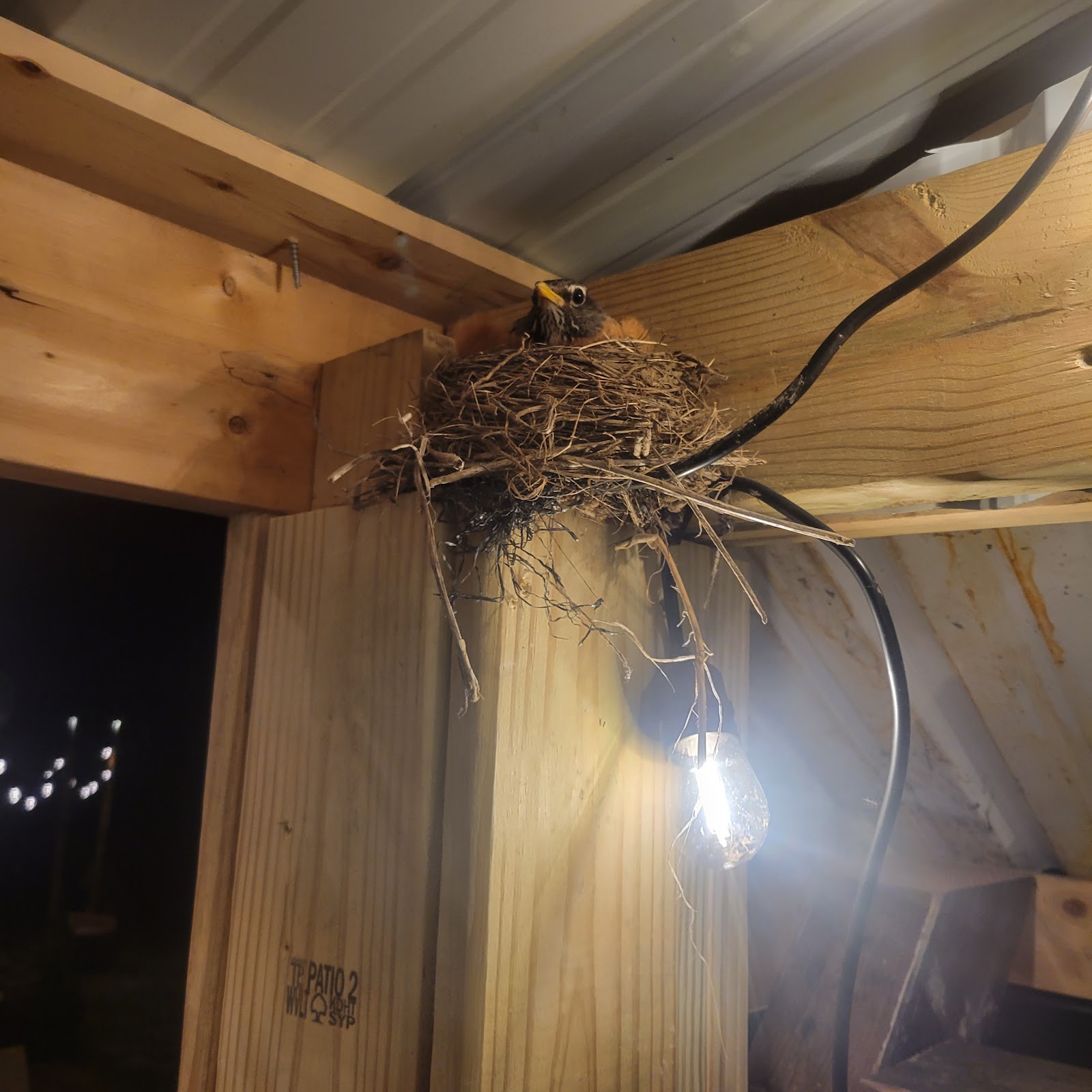 Woodys Camp and Bait