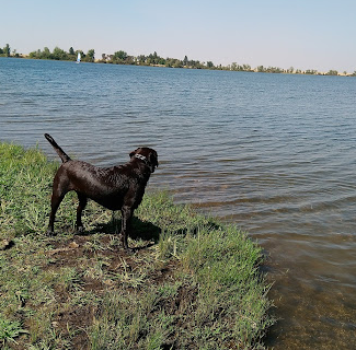 Rancho Seco Recreational Area