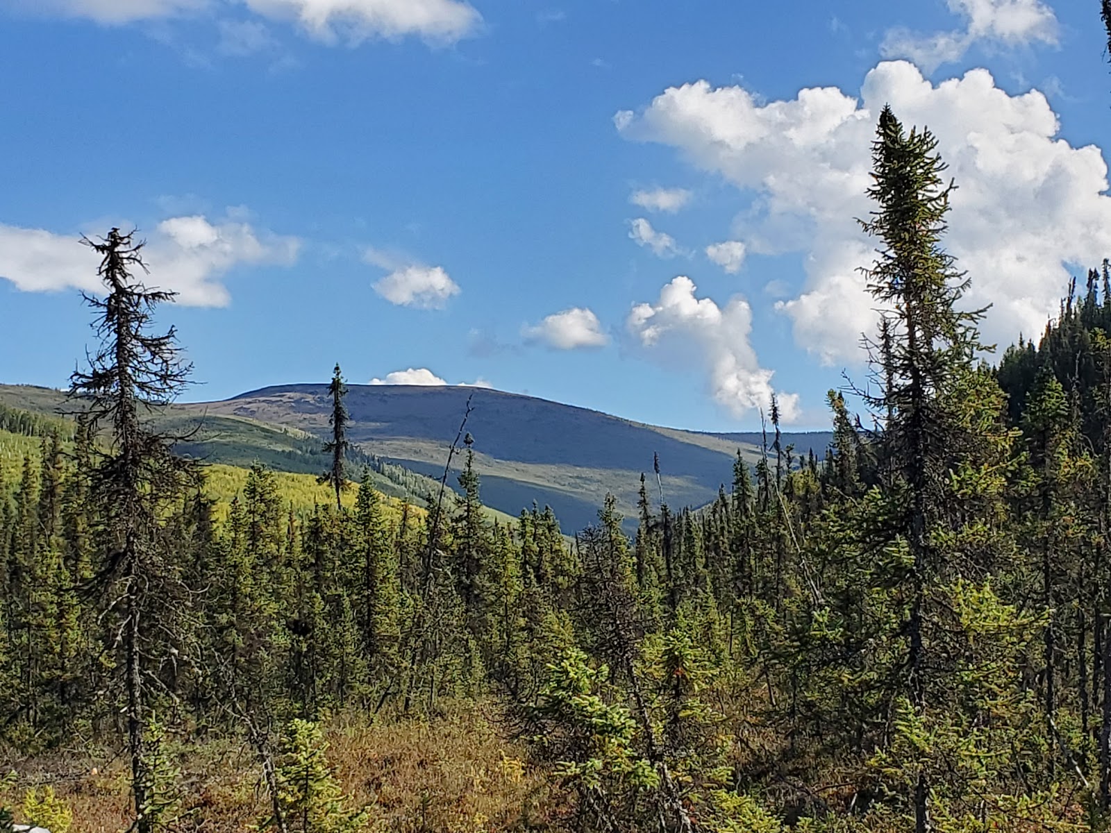 Tors Trail Campground