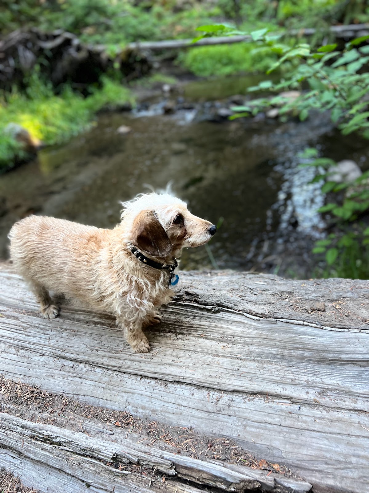 Eightmile Crossing Campground