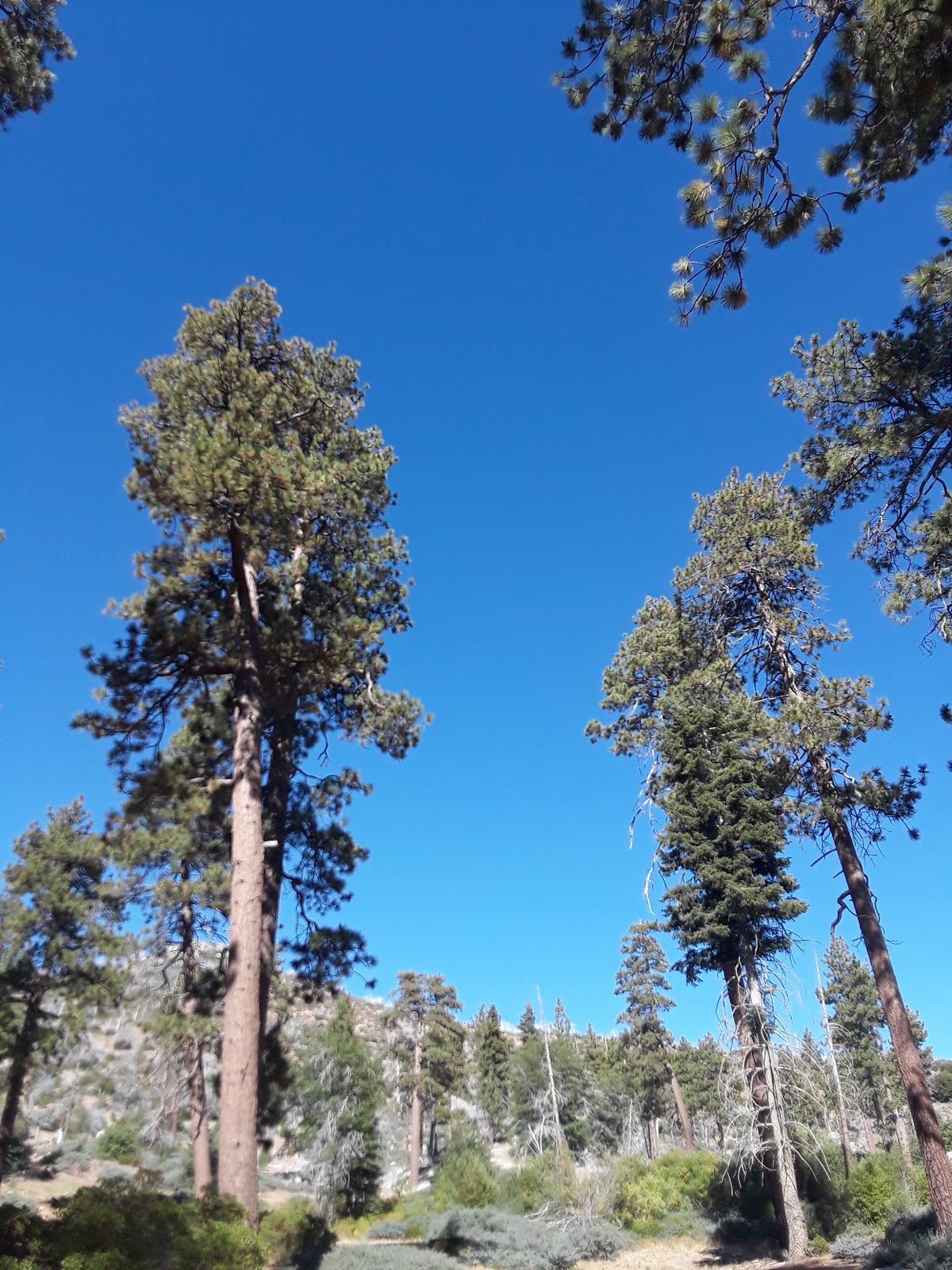 Hanna Flat Campground