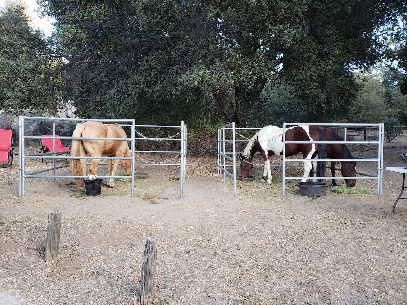 Green Valley Horse Camp