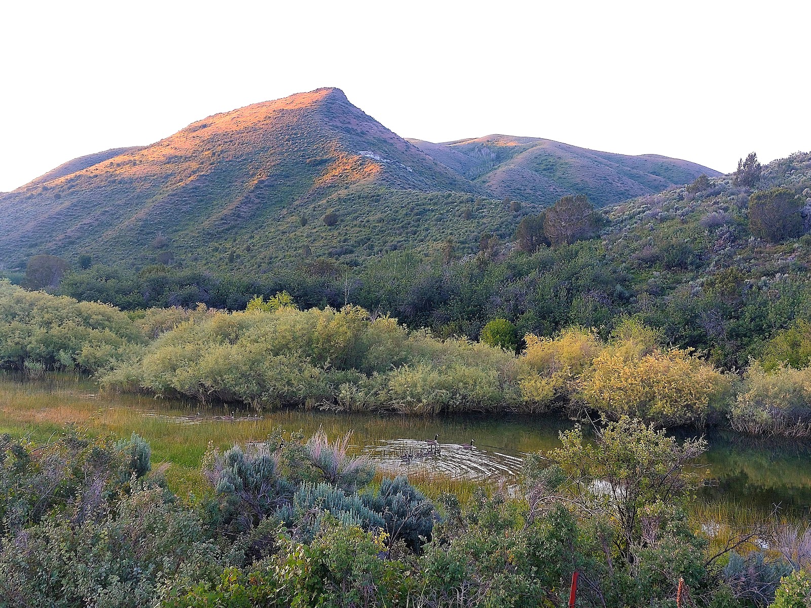 Sublett Creek Campground