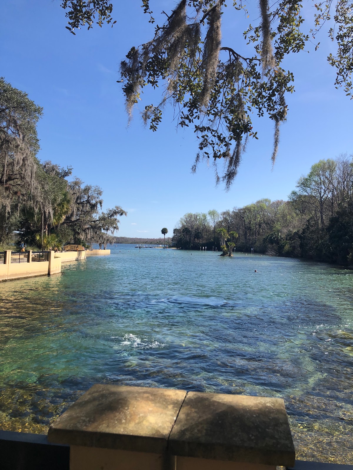 Salt Springs NF Campground