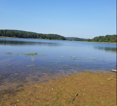 Ozan Point Recreation Area & Campground