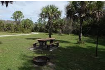 Bear Island - Big Cypress National