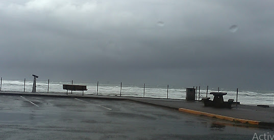 Tree 'n' Sea Trailer Park