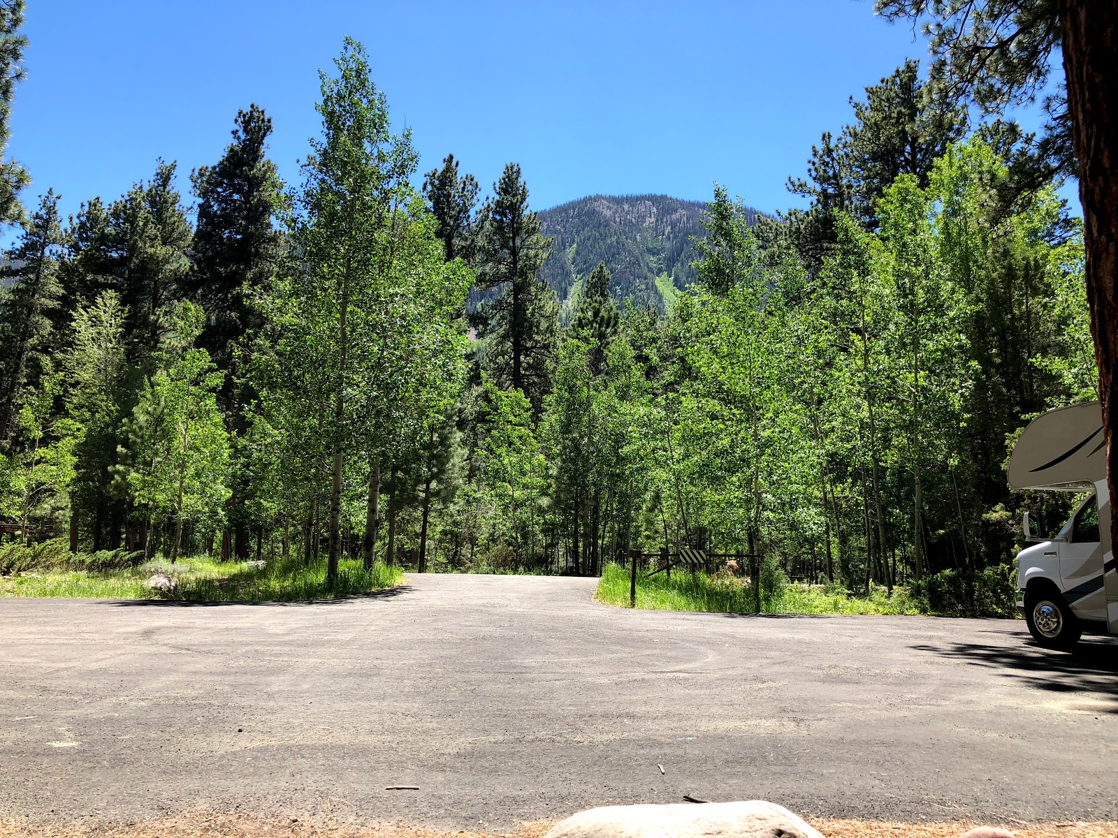 Yellow Pine Campground