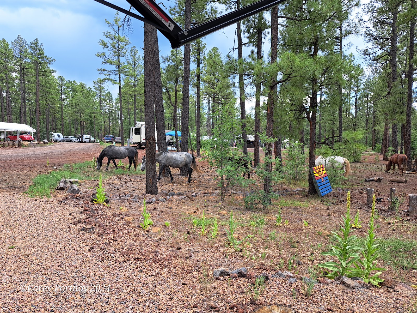 Hon-Dah Casino RV Park