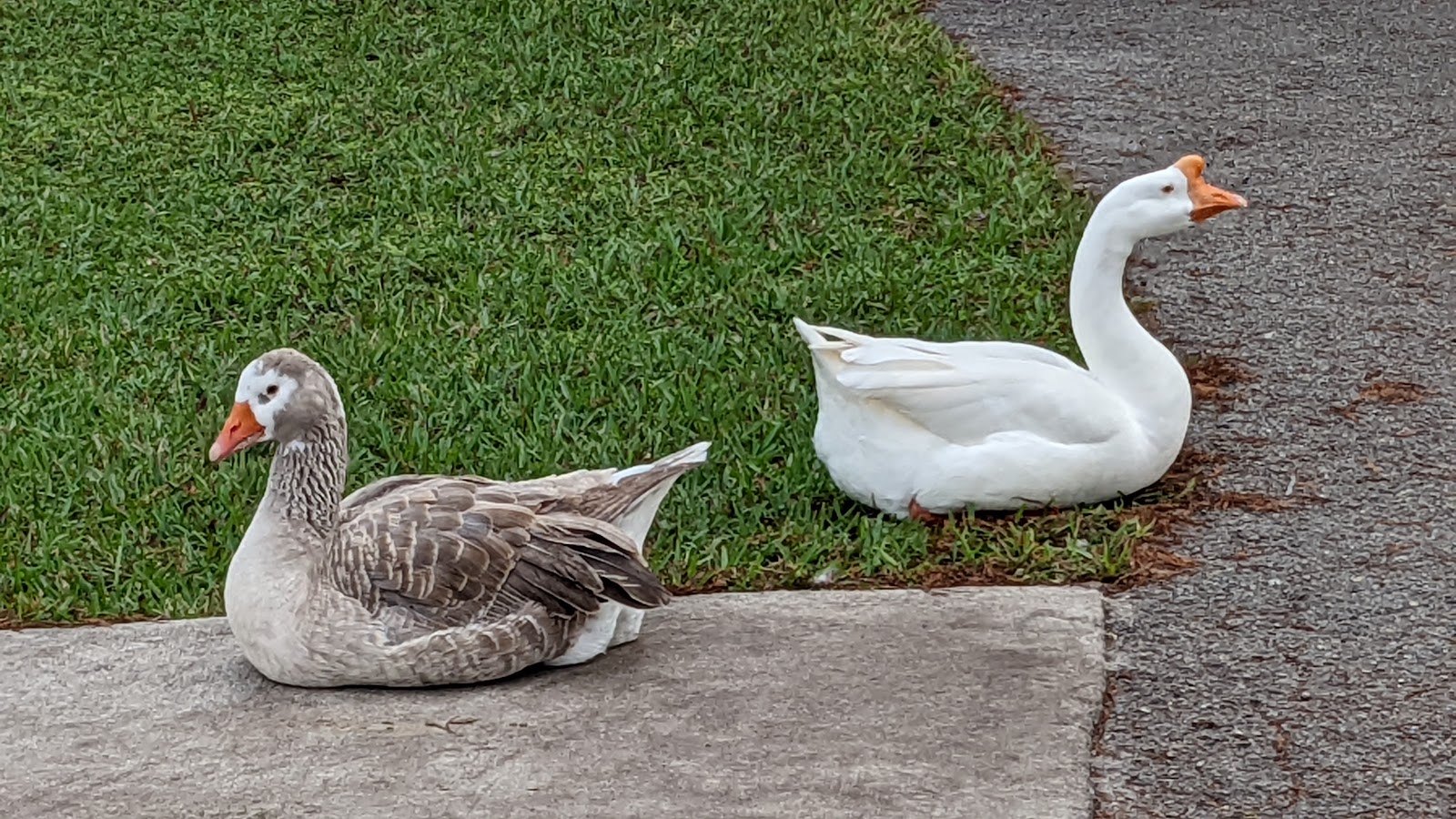 Easterlin Park Broward County Park