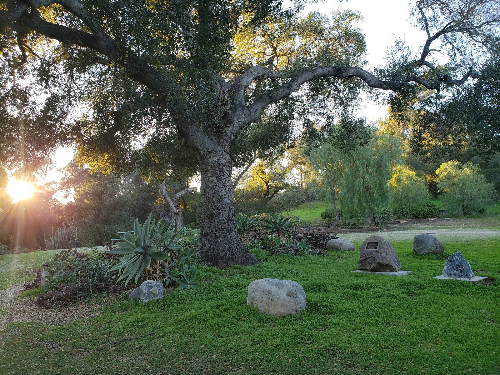 Kenney Grove Park Ventura County