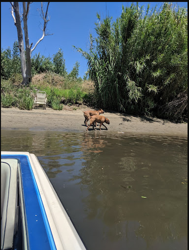 Franks Tract State Rec. Area