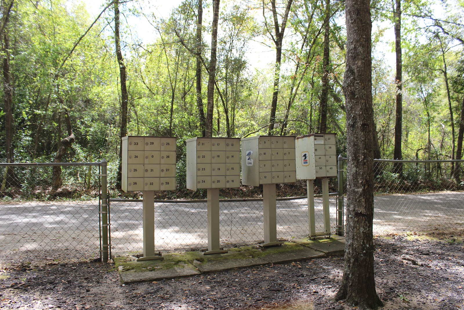 Cedar Pines RV Campground