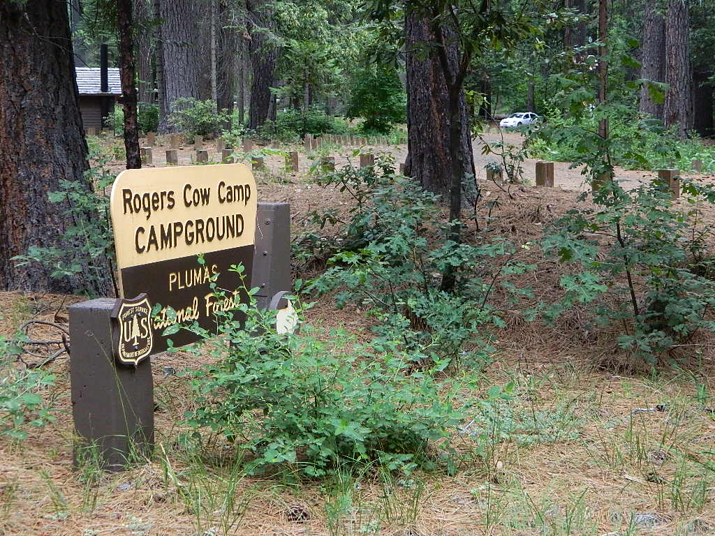 Rogers Cow Campground