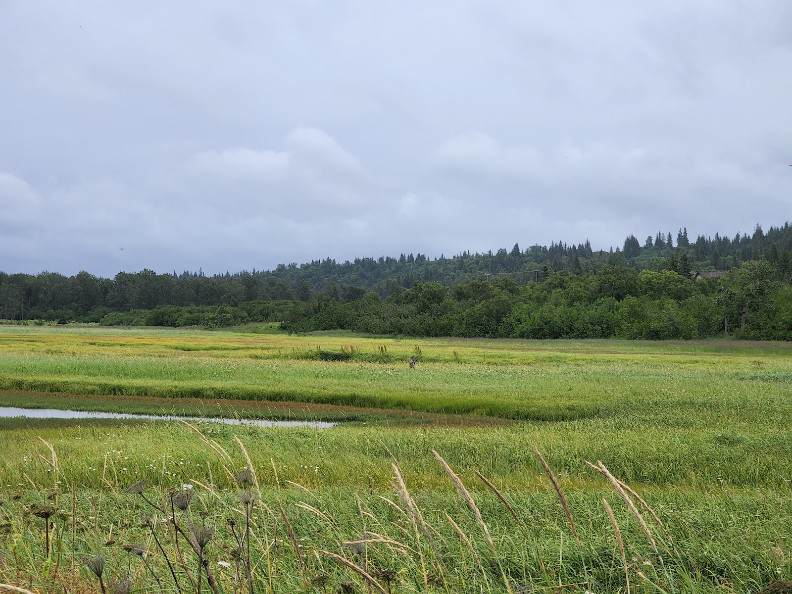 Deep Creek View Campground