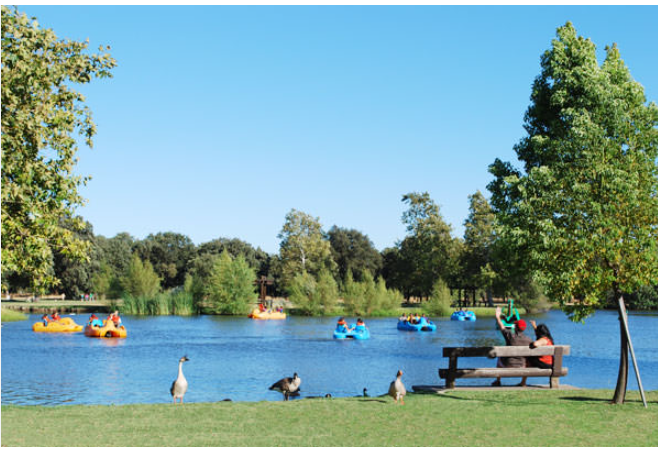 Valley Oak Recreation Area