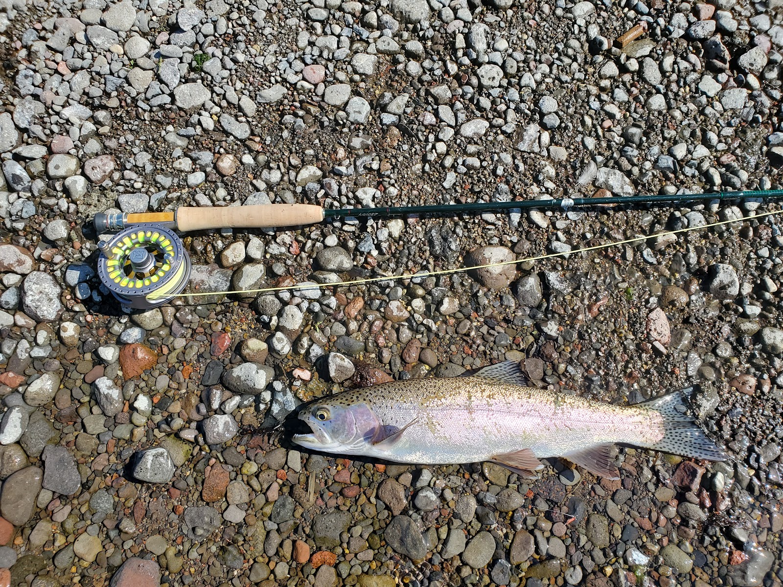 Cow Meadow Campground
