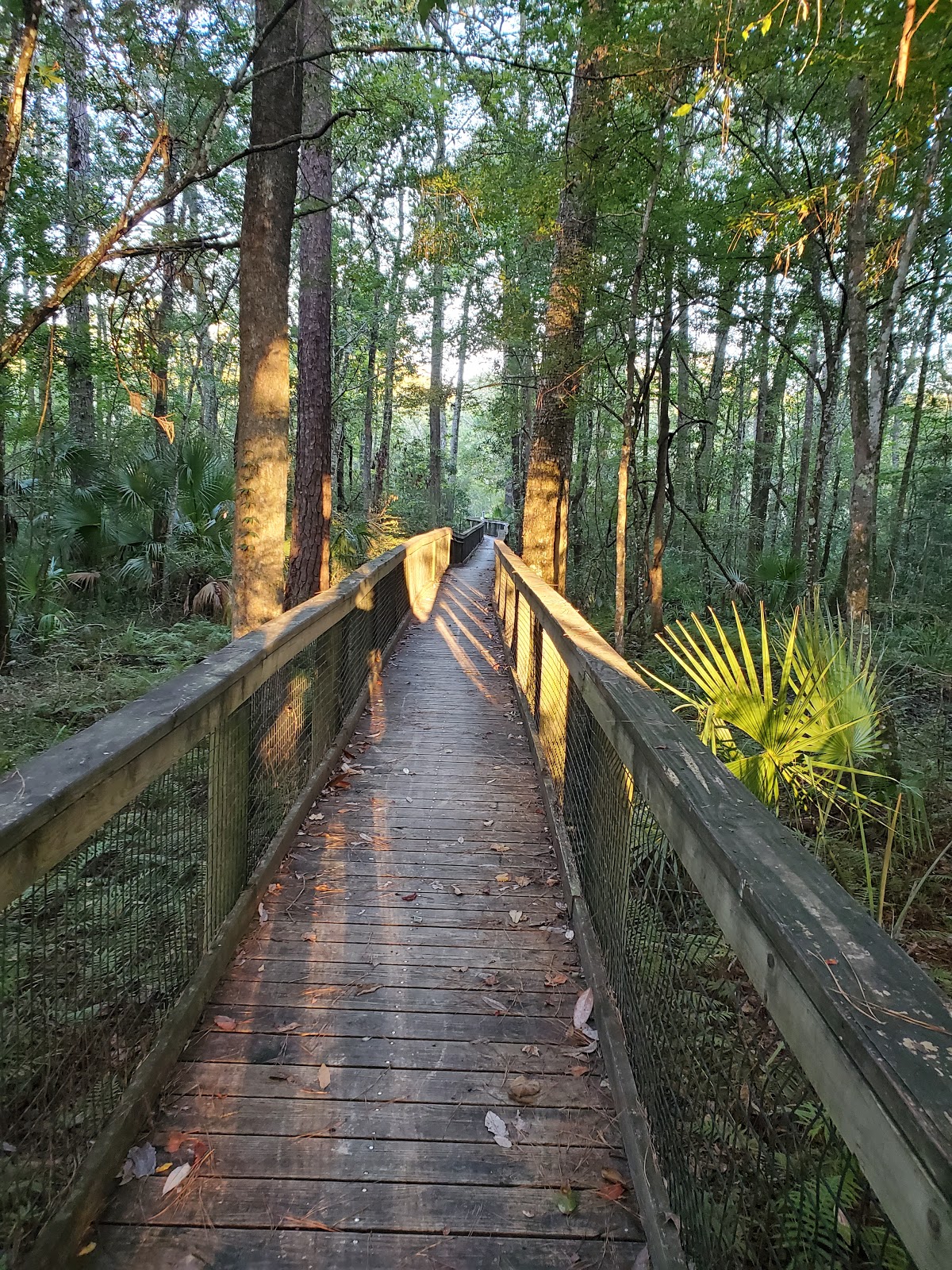 Newport Park Campground