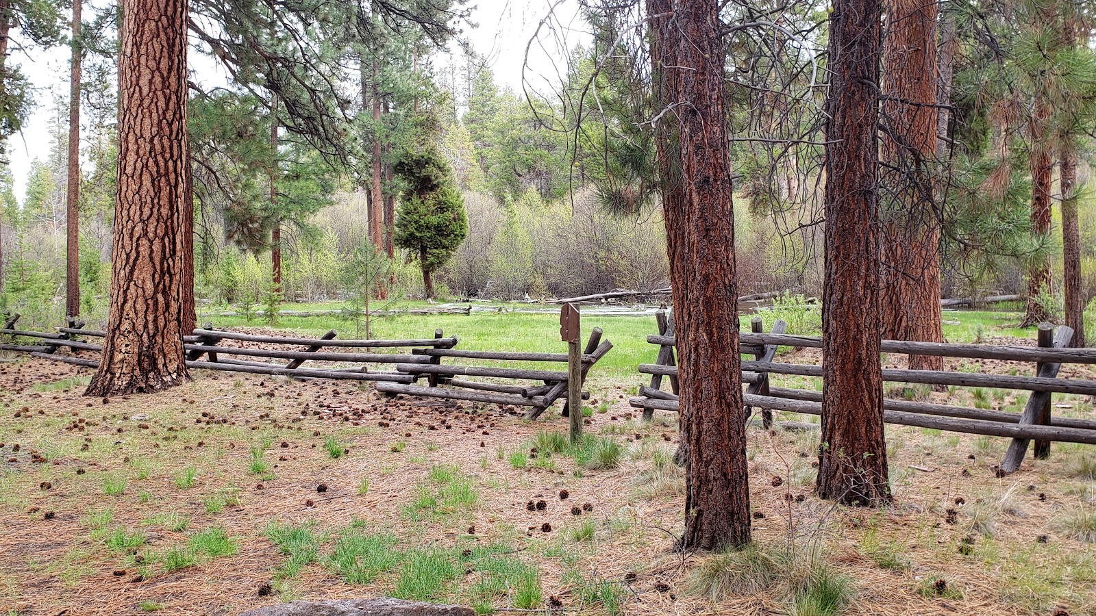 Lower Buck Creek Forest Camp