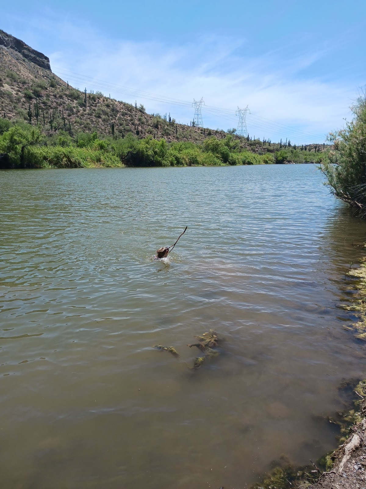 Riverside Campground