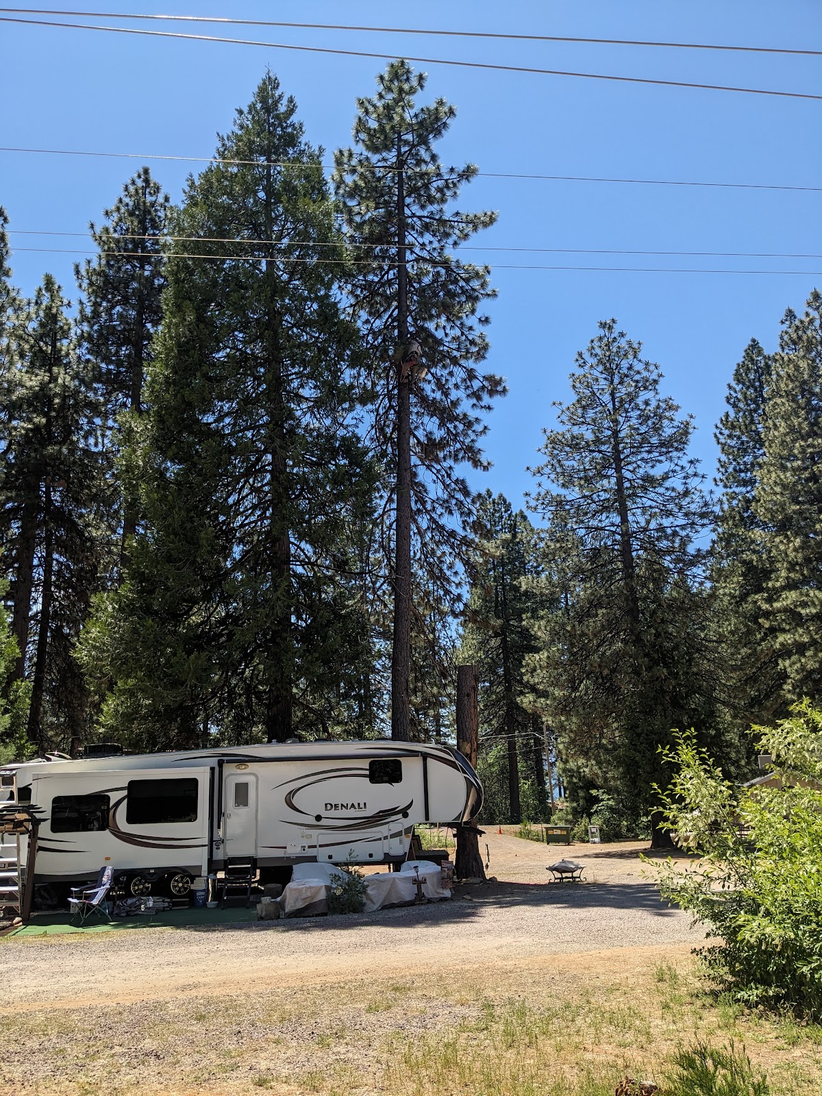 Lake Cove Resort and Marina