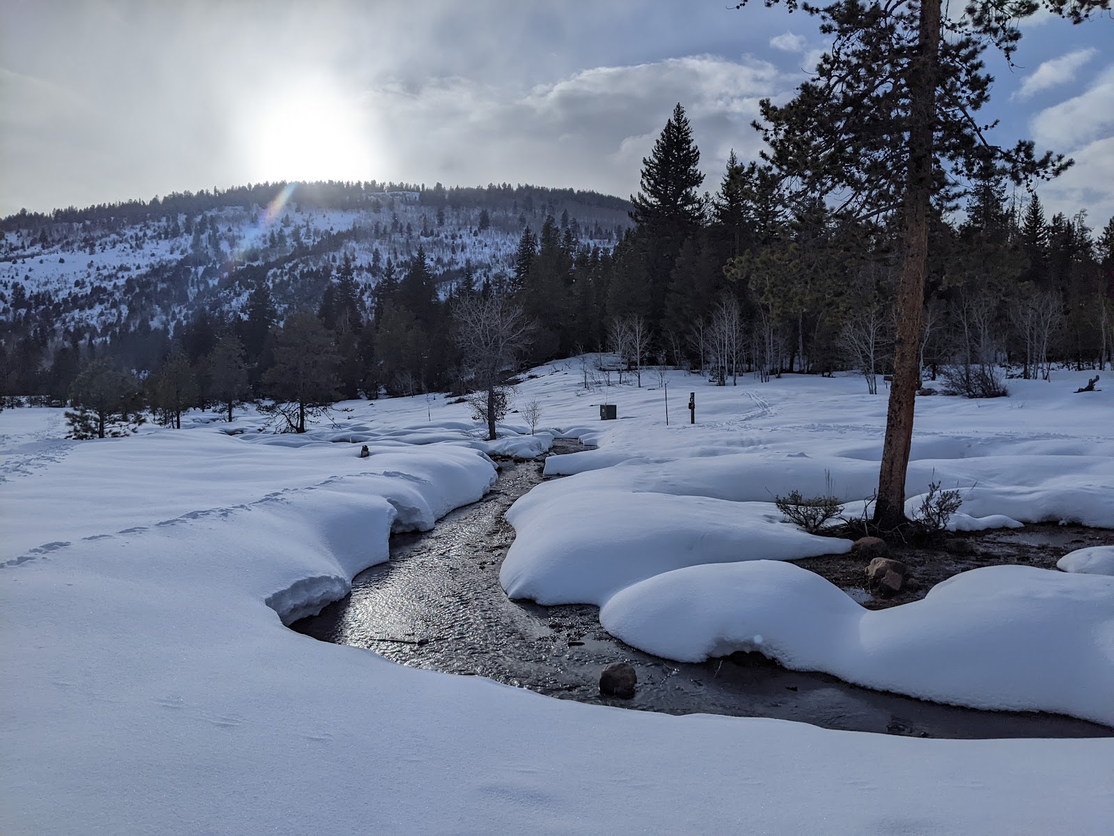 Lower Provo River Campground