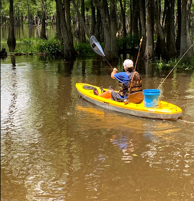 Magnolia Ridge Camping