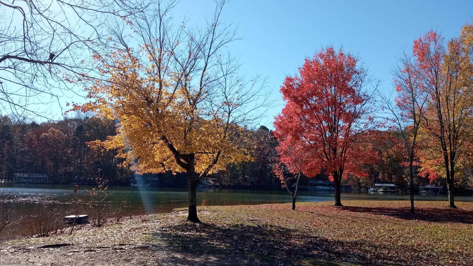 Thompson Creek Park Shelter (GA)