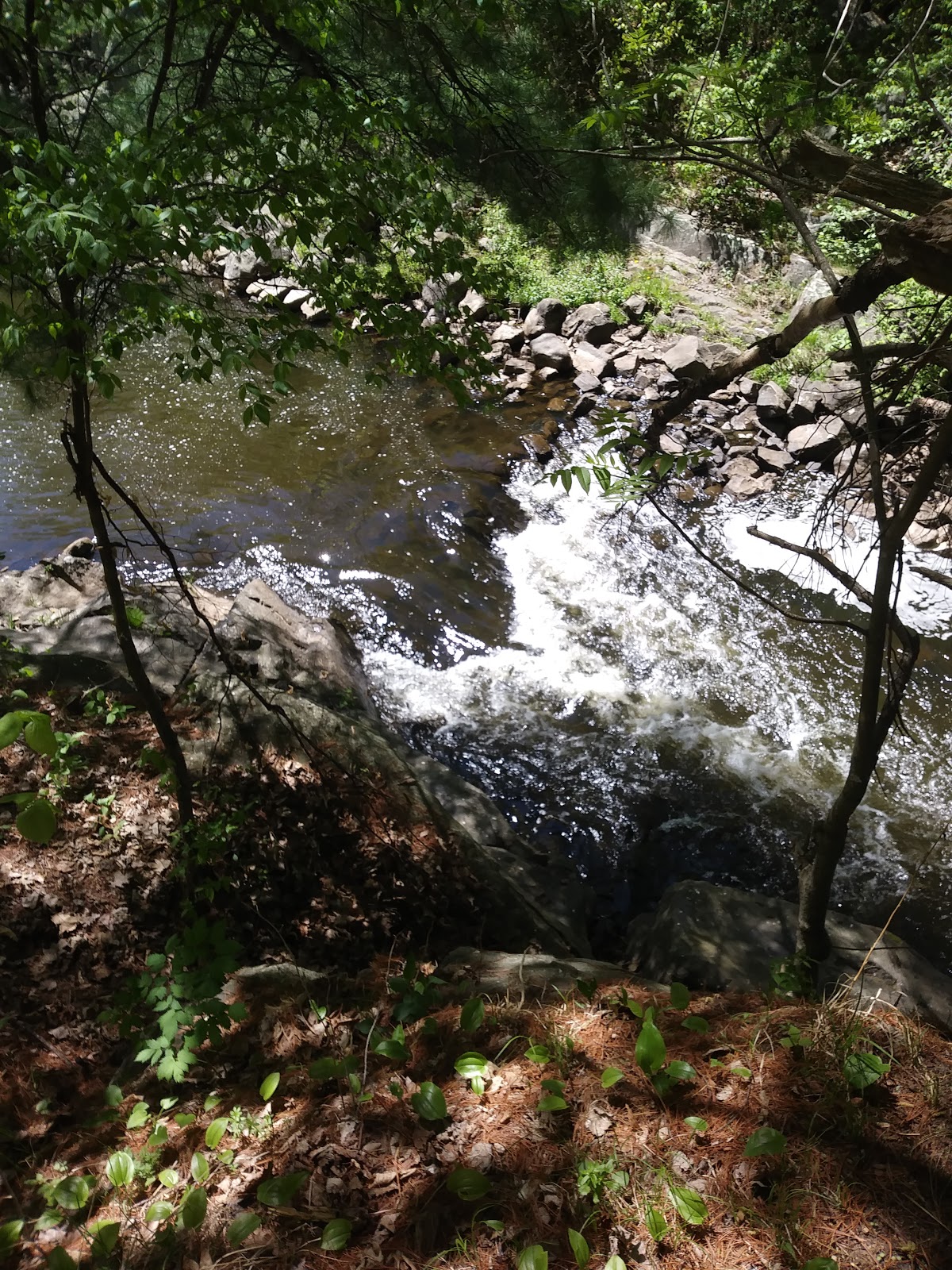 Clam Falls Campground