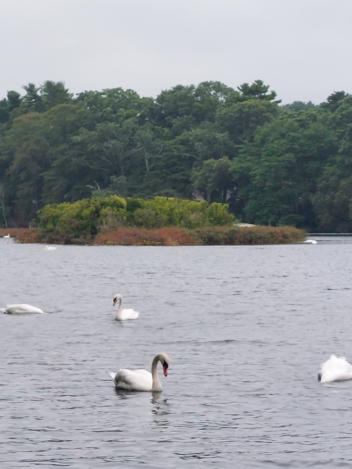 Southaven County Park Campground