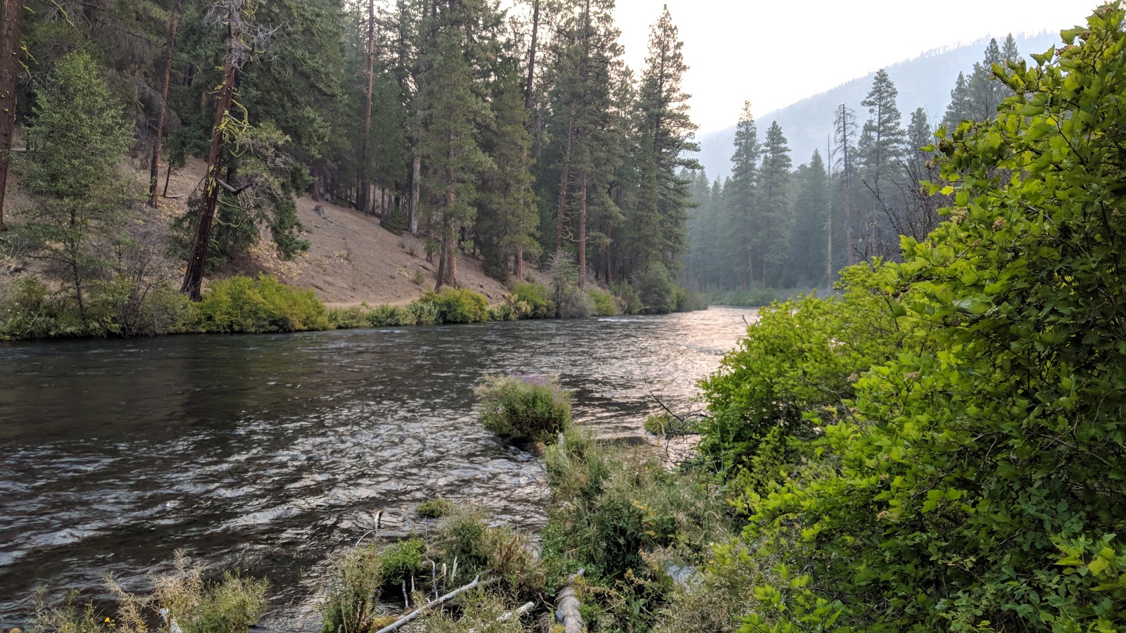 Pioneer Ford Campground