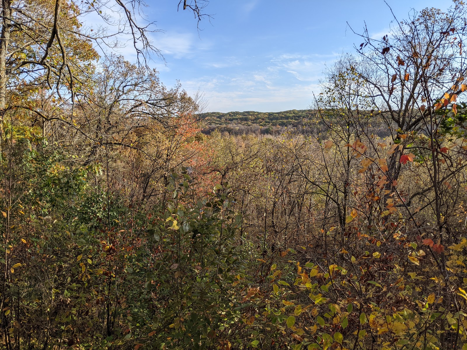 Wild River State Park