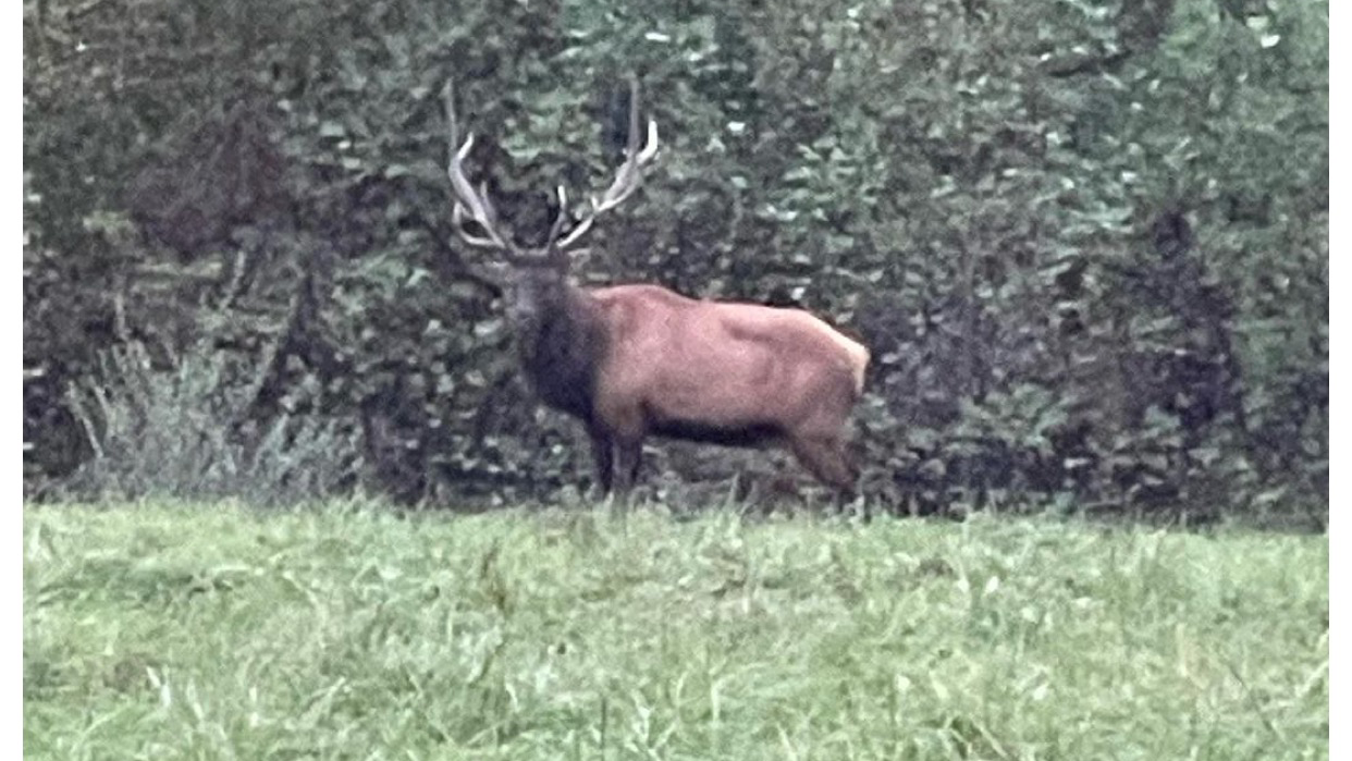 Ride Royal Blue ATV Park