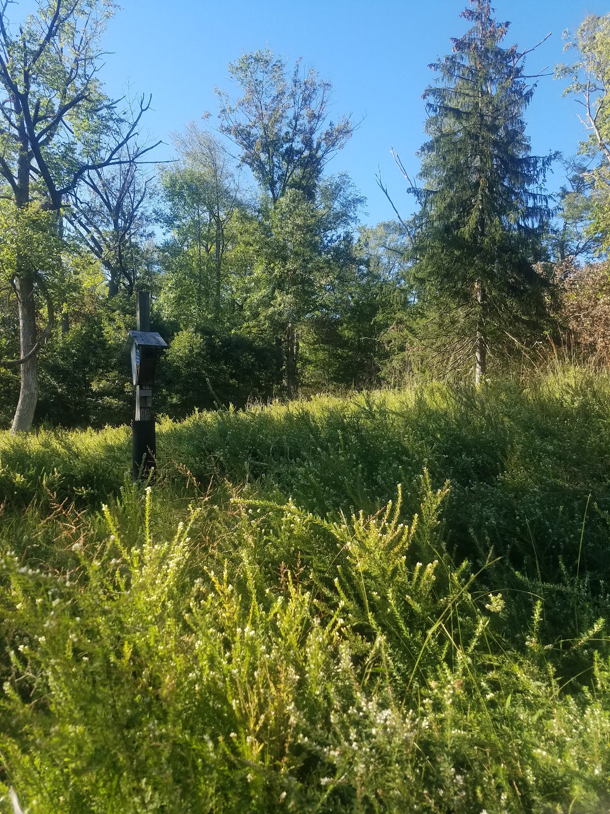 Fort Washington State Park