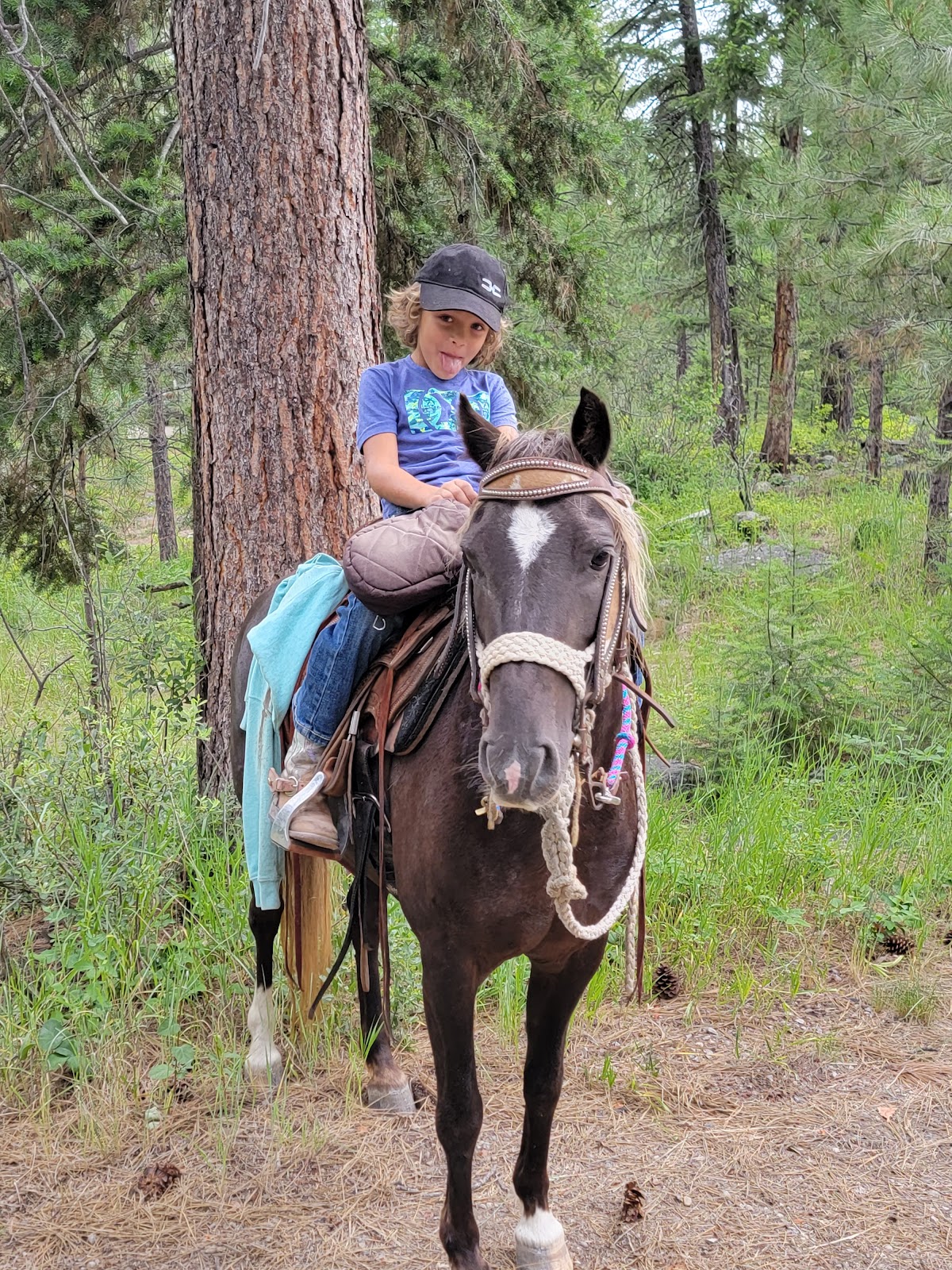 Rock Creek Horsecamp