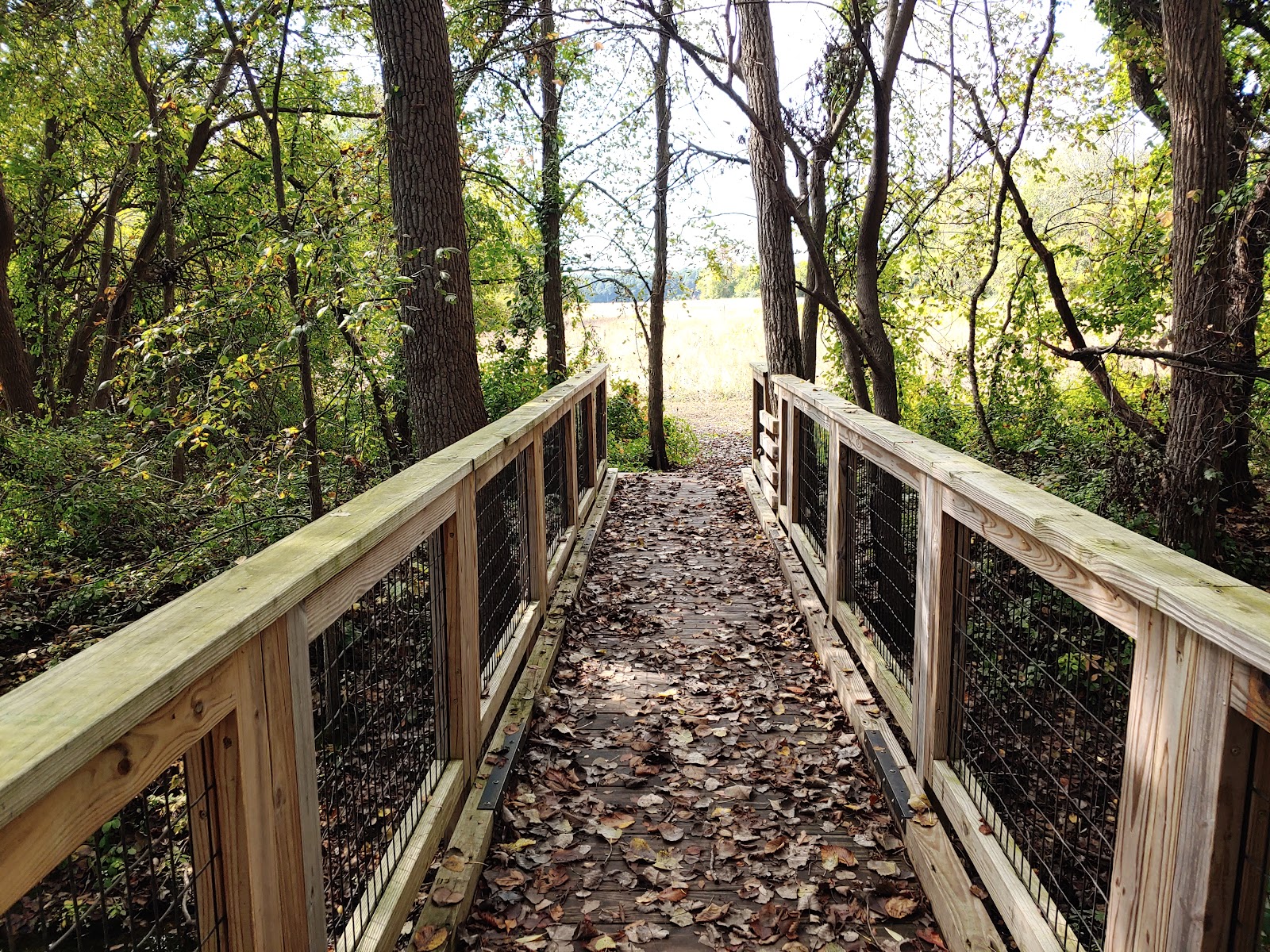 Cade Lake Park and Campground