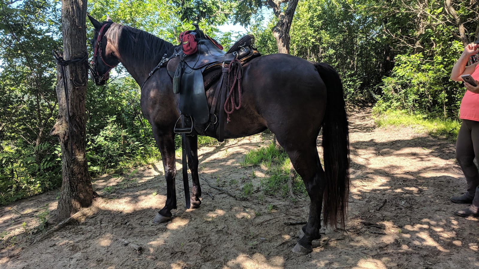 Zumbro Bottoms Horse Campground