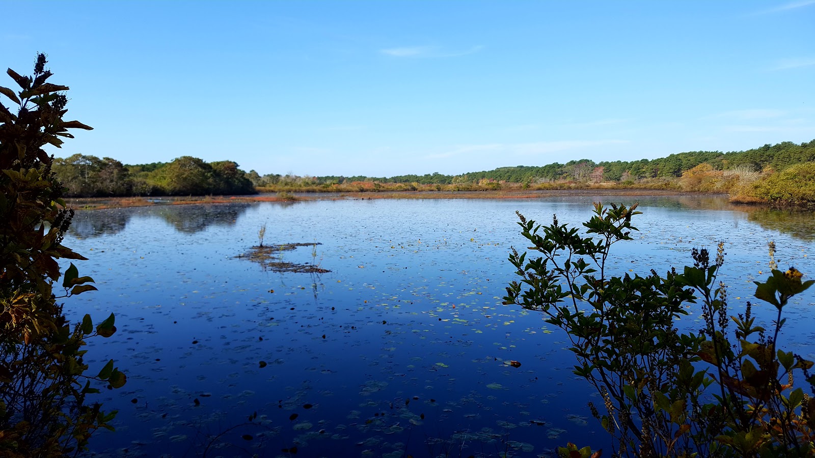 Coastal Acres Camping Court
