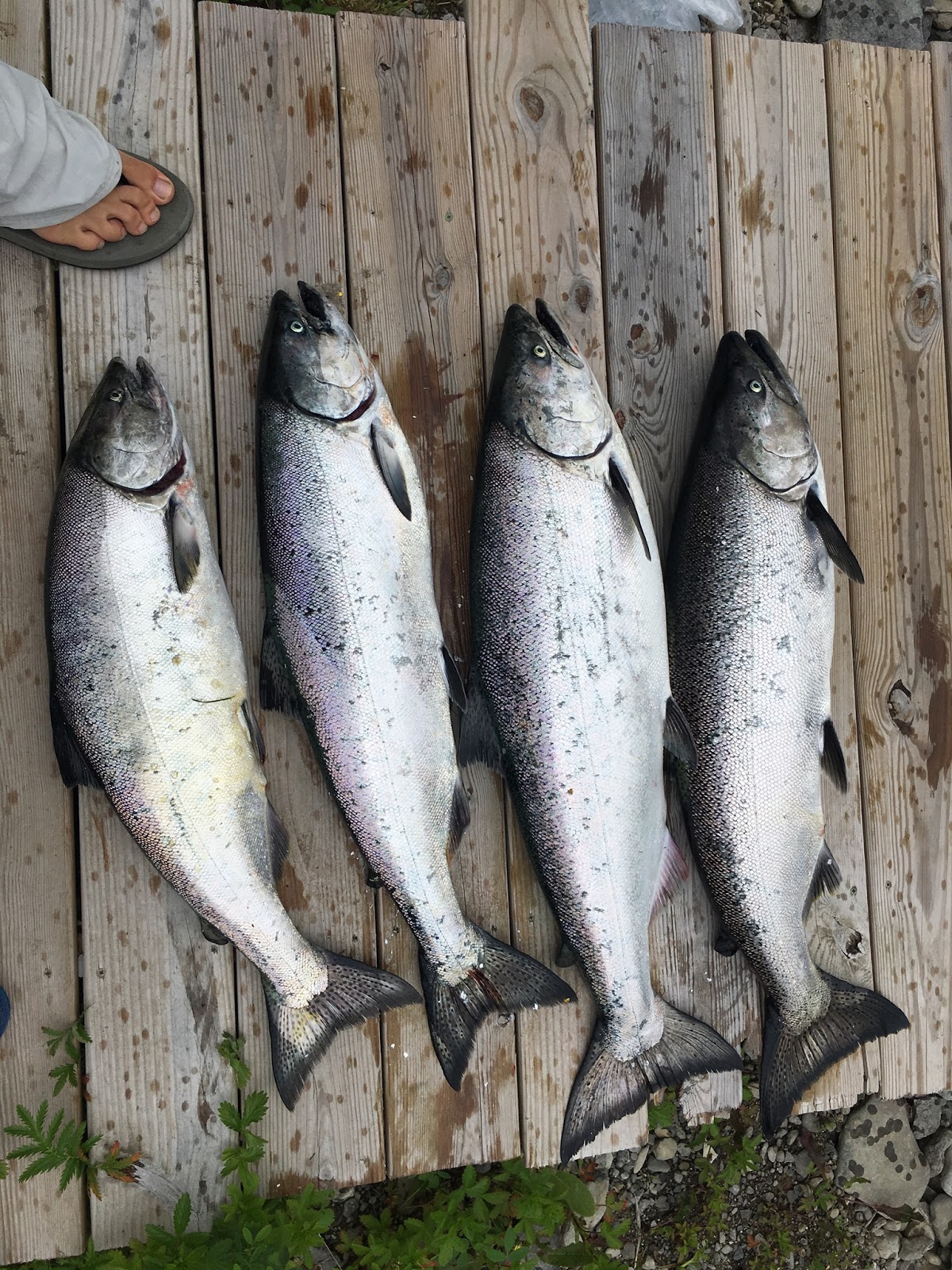 Hidden Harbor Campground & Marina