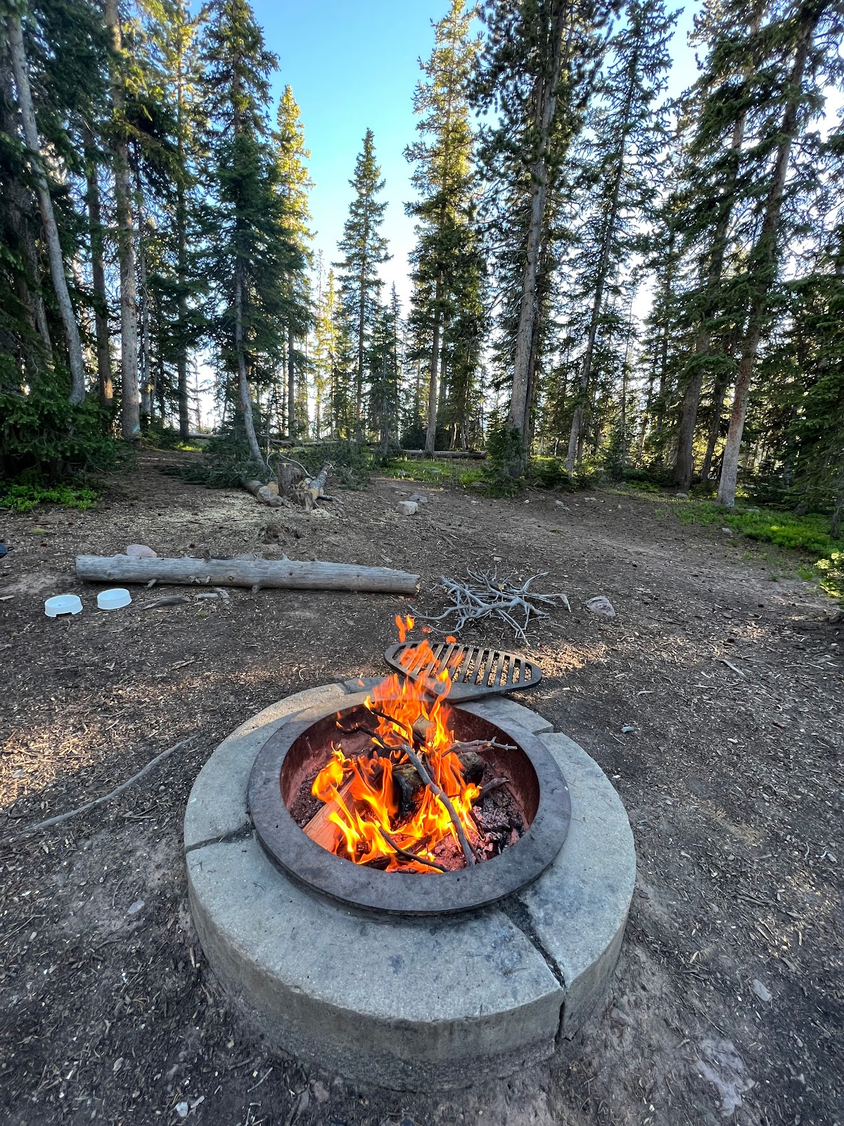 Butterfly Campground