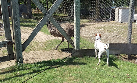 Sleepy Hollow Lake Campground