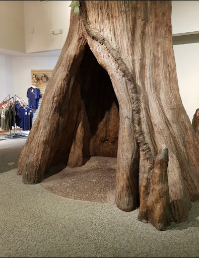 Congaree National Park