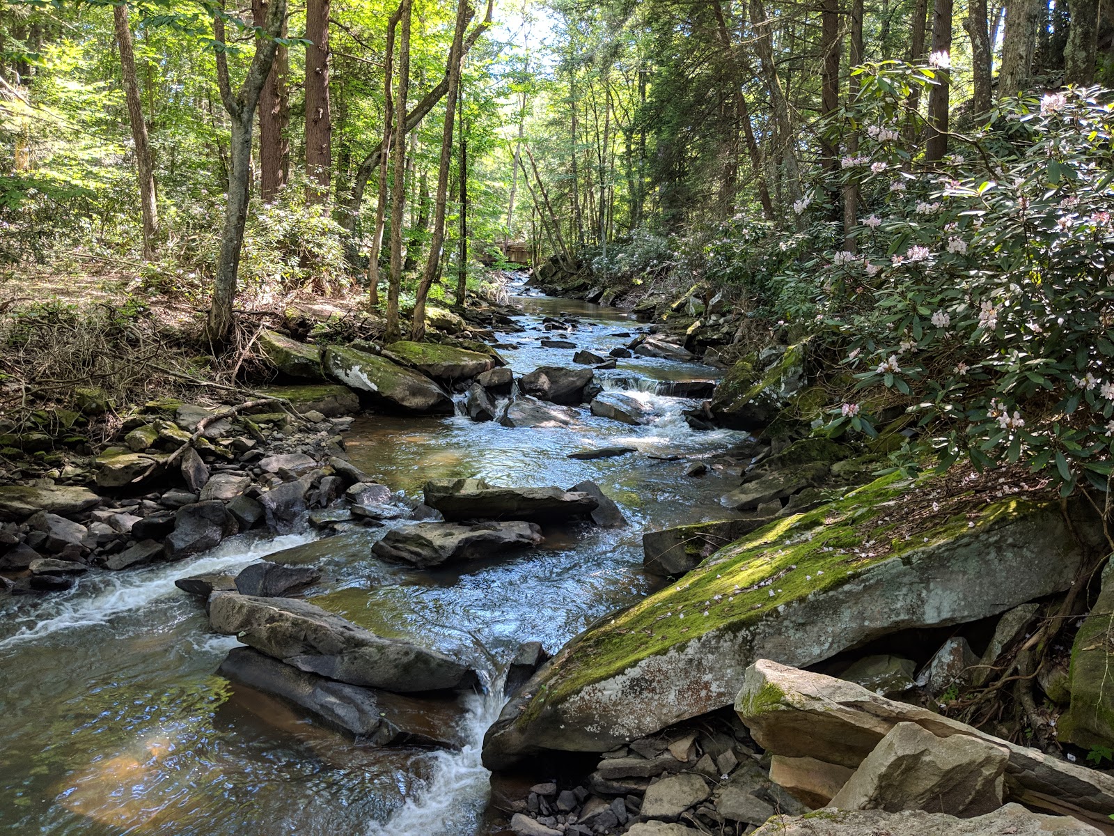 Hominy Falls RV Resort