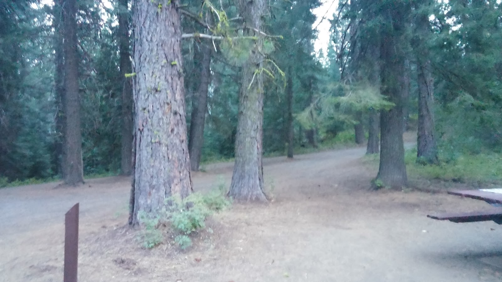 Cartwright Ridge Campground