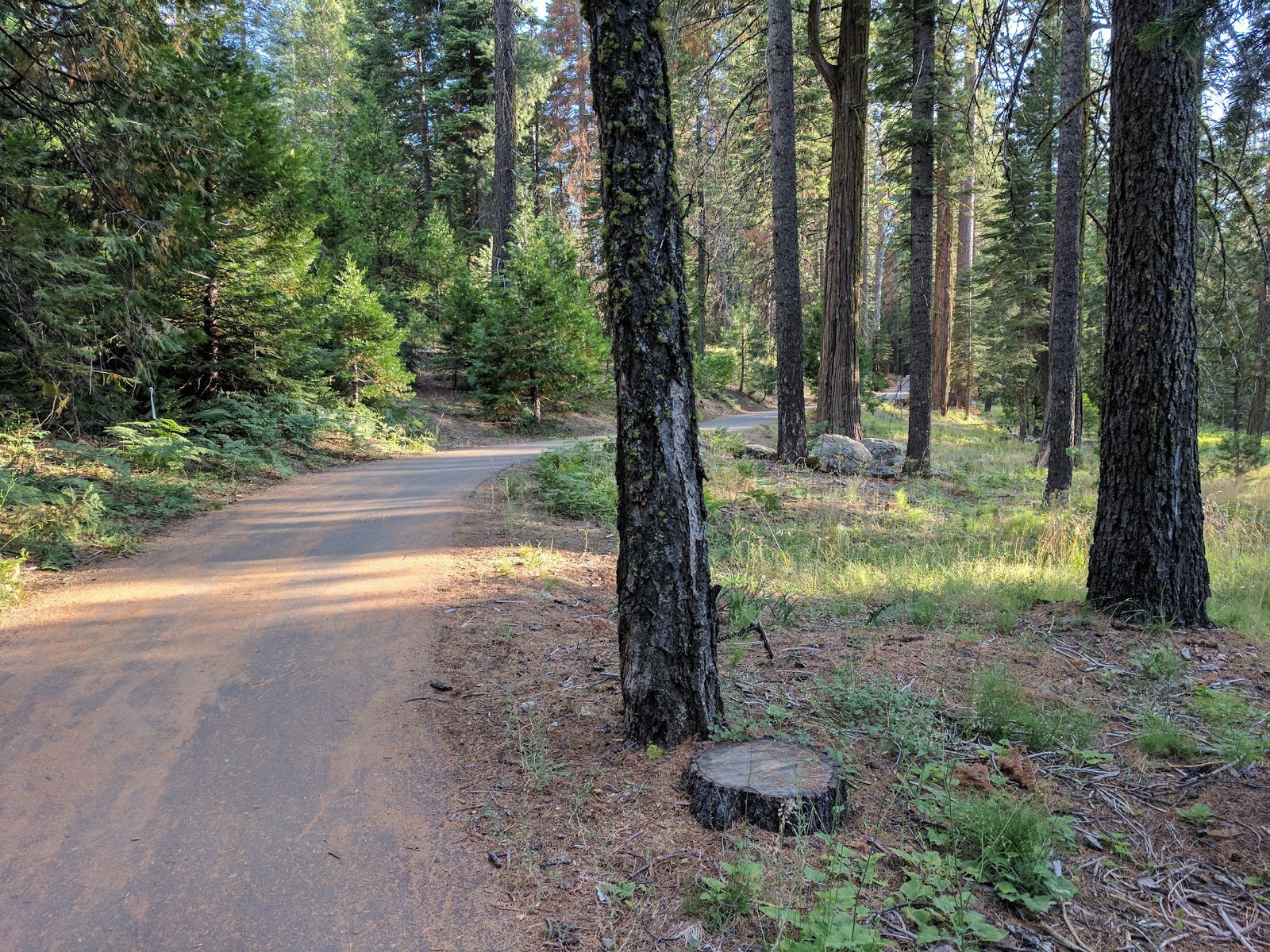 Fence Creek Campground